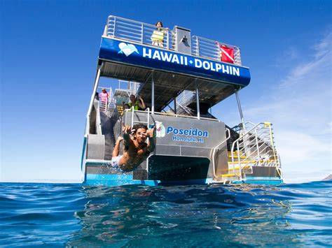 Dolphin Cruise Oahu (10 Off) Oahu Dolphin Tours in Hawaii