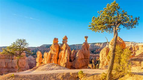 Top Secrets of Hoodoos Revealed!
