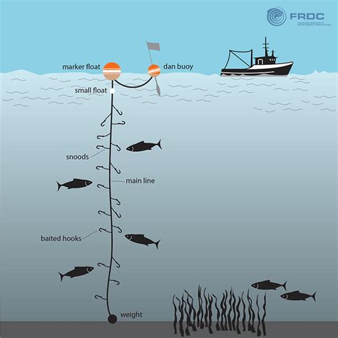 Hook Line Fishing Definition