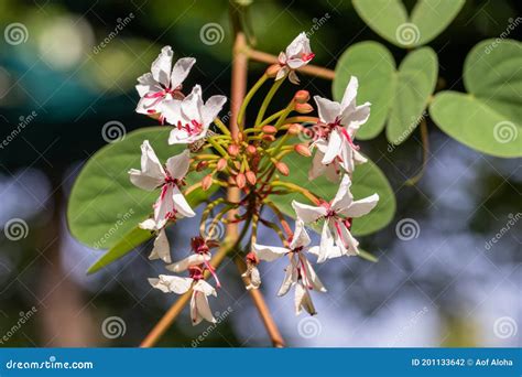 Can WWE Go Too Far? Exclusive Look at Nude Wrestling’s Dark Underbelly!