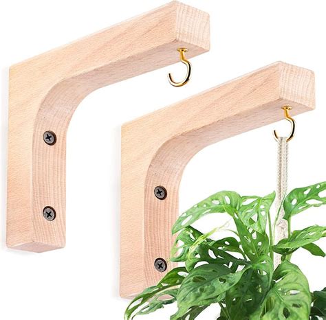 The Best Hooks For Hanging Plants