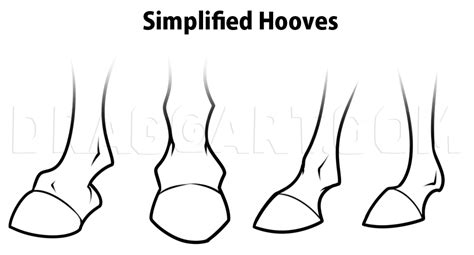 Hooves Drawing