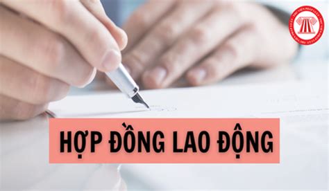 hop dong lao dong 2022