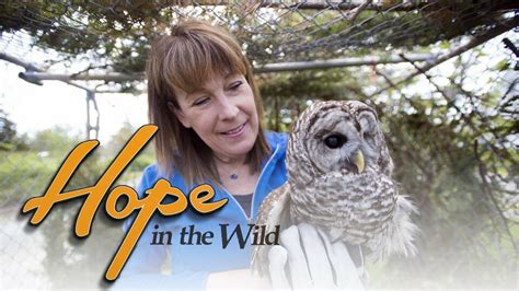 Hope In The Wild On Cbs