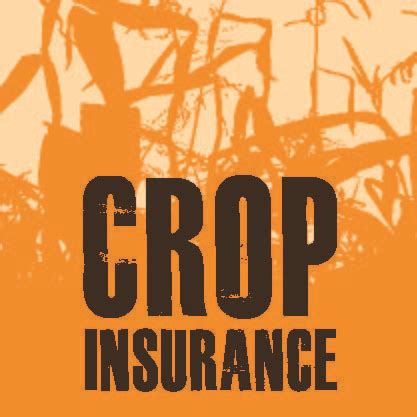 horizon farm credit crop insurance