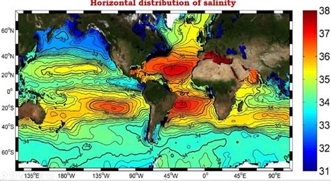 Horizontal And Vertical Distribution Of Salinity