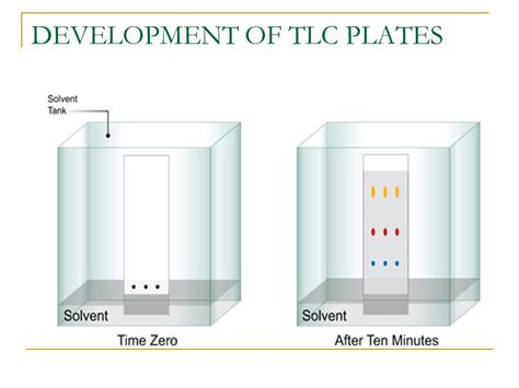 Horizontal Development In Tlc