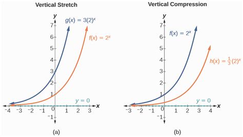 horizontal stretch vs compression exponential functions