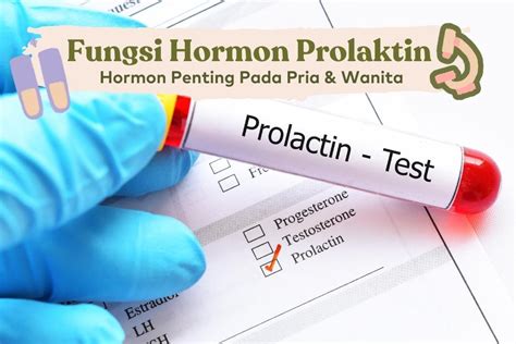 hormon prolaktin Indonesia