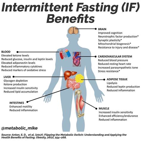 Hormonal Effects of Intermittent Fasting
