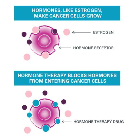 Hormone Receptor Blockers
