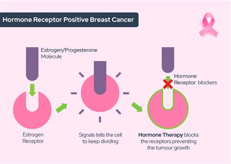 hormone therapy breast cancer