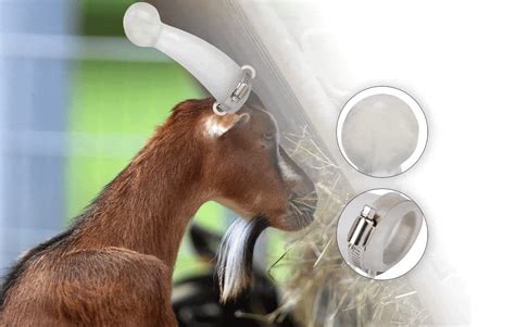 horn covers for goats