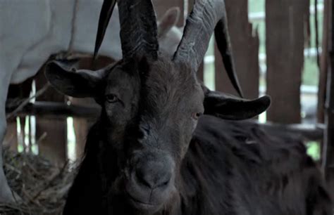 horror movie with black goat
