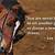 horse barn quotes