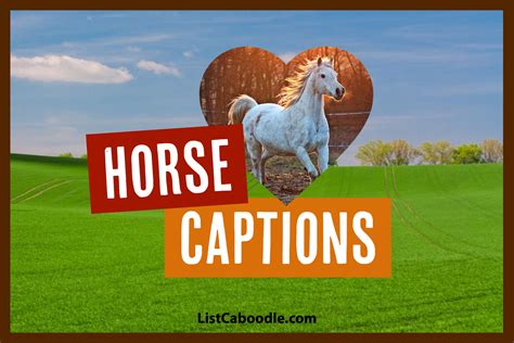 30 Short Horse Riding Captions for Instagram Pictures Ask for