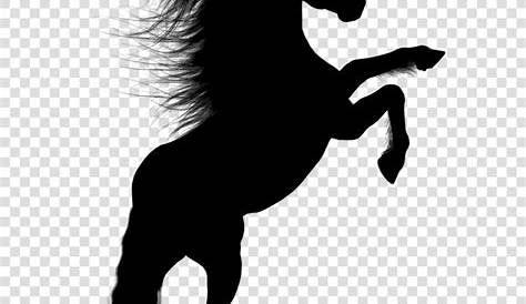 Horse Clipart Png Black And White Free Download On ClipArtMag