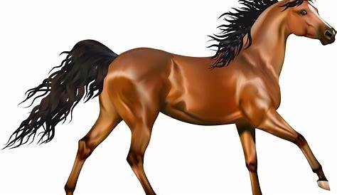 Brown Horse Clipart Free download on ClipArtMag