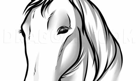 Image result for easy horse drawings for kids Easy horse