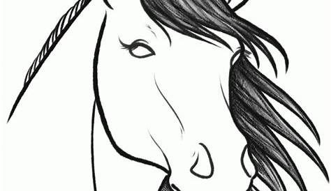 Horse Drawing Easy Head At Free For