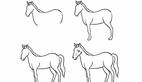 Horse Drawing Easy Step By Step How To Draw A Art For Kids Hub ,