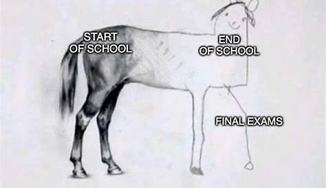 Horse Drawing Meme End Of Semester Horse Drawing