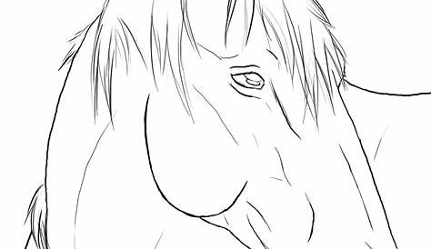 Arabian Horse Drawing Free download on ClipArtMag