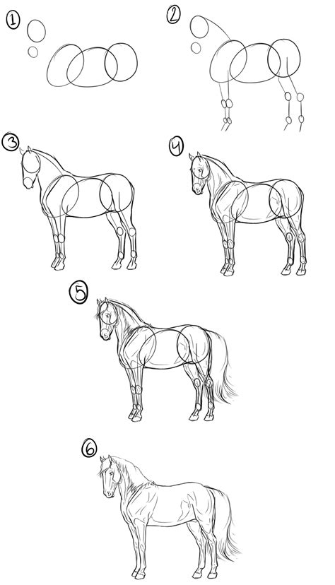 how to draw a horse Horse drawings, Drawings, Easy drawings