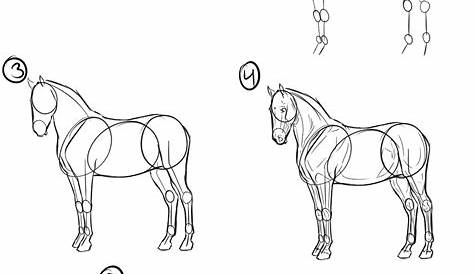 Schritt für Schritt Anleitung zum Zeichnen eines Pferdes