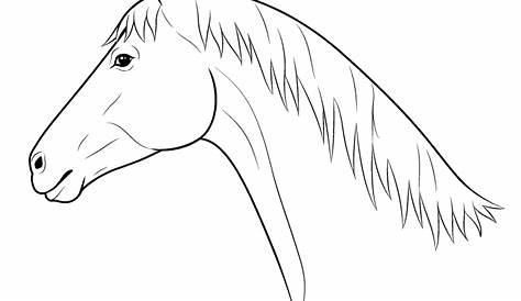 Art and Lore How to Draw a Horse Head, Side View