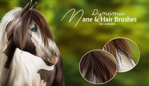 Horse Hair Detail Brushes Kit- Interior & Exterior Detail Brushes- Free