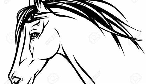 Horse Head Line Drawing ClipArt Best