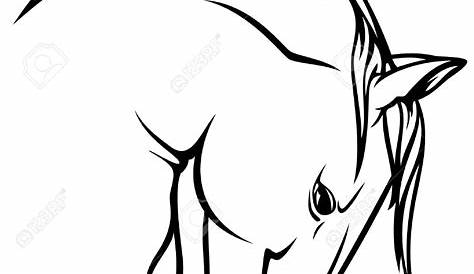 Horse Head Drawing Outline Pictures Of s Free Download On ClipArtMag