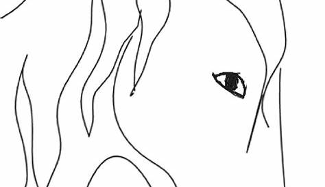 Horse Head Drawing Step By Step at GetDrawings Free download