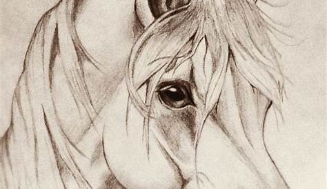 Realistic Horse Head Drawing at
