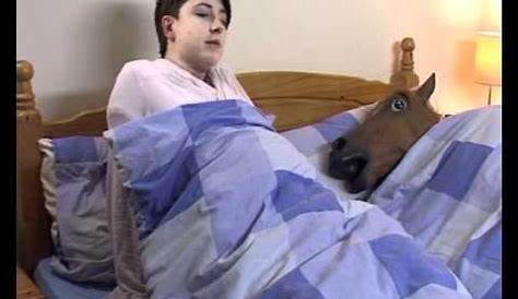Horse Head In Bed Meaning Was The 'The Godfather' Based On A Real