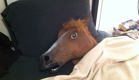 Horse Head In Bed Real , But Not Severed, Thankfully. Sharyn