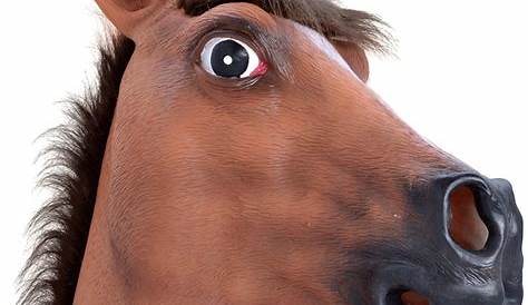 Horse Head Mask Png Custom By MikiBandy On DeviantArt