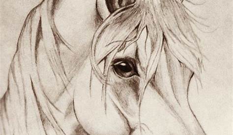 Simple Horse Head Drawing at GetDrawings Free download