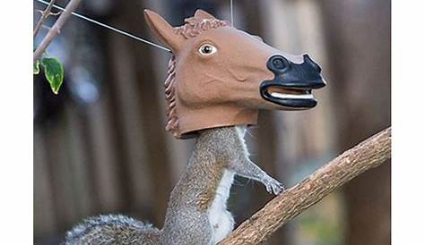 Accoutrements Horse Head Squirrel Feeder Halloween Accessory
