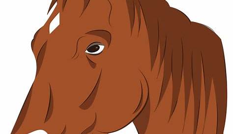 Horse Head Vector Art Stock Illustration Download Image Now IStock