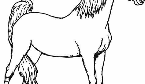 Horse Pictures To Color Free ing Pages