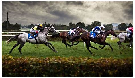 Horse Racing Wallpapers, Pictures, Images