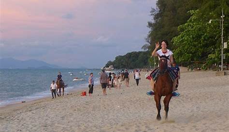 Man with horse on Batu Ferringhi beach, Penang Stock Photo - Alamy