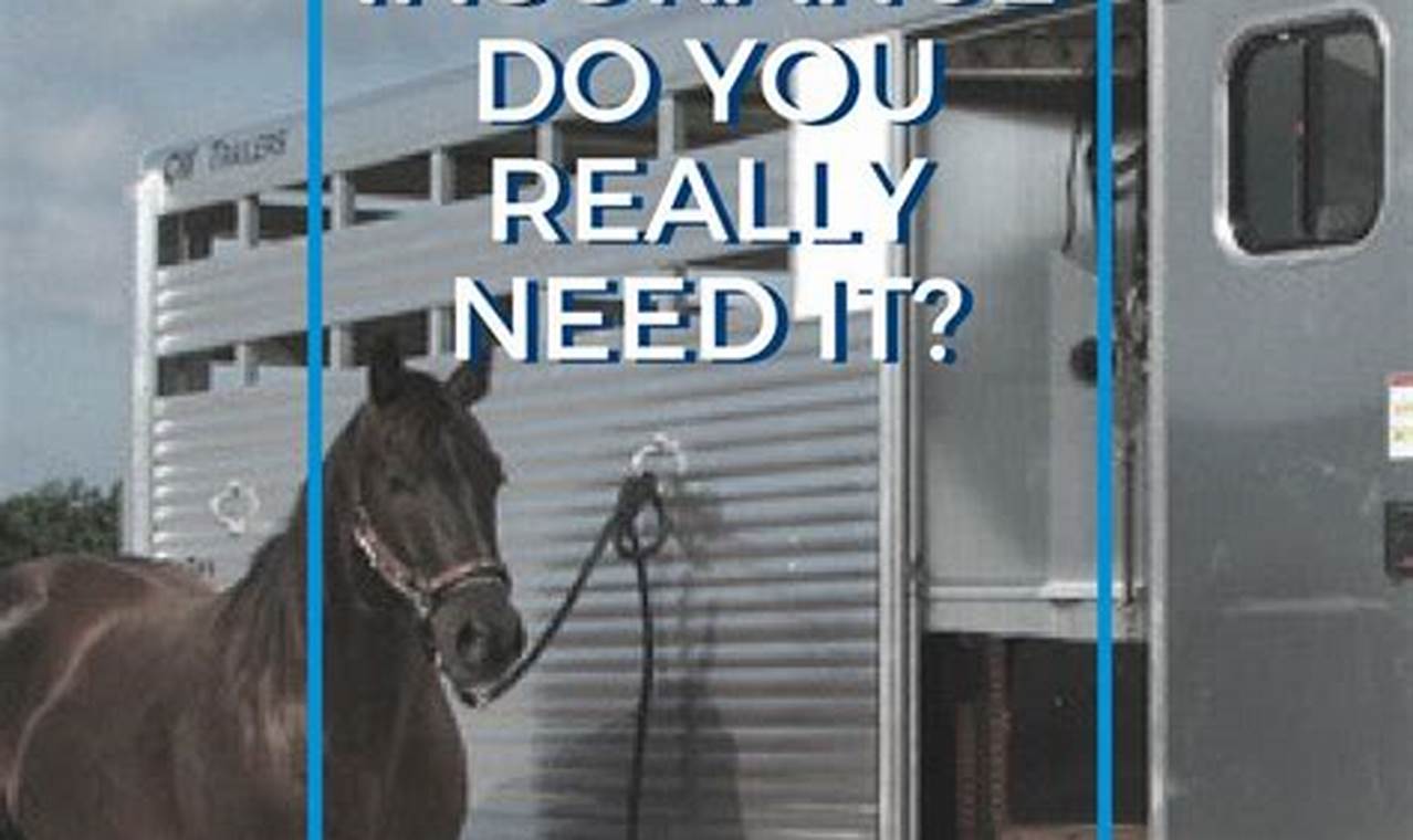 Essential Horse Trailer Insurance: A Comprehensive Guide to Protection