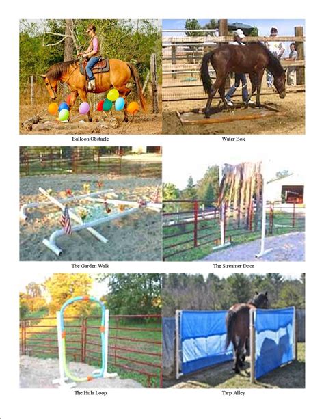 Horse Agility Course Ideas