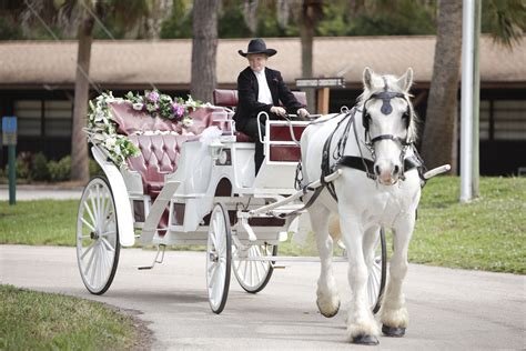 horse and carriage hire