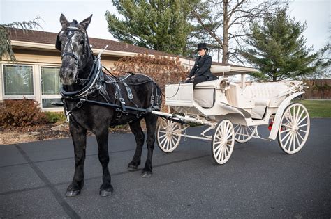 horse and carriage hire near me prices