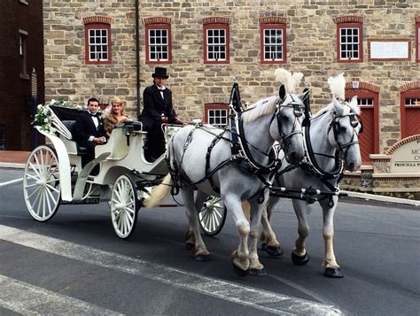 horse and carriage rides in bethlehem pa