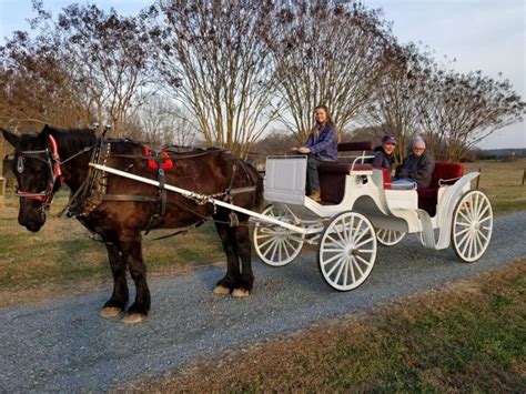 horse and carriage rides near me